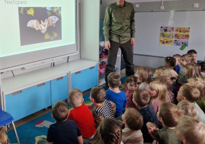 Zdjęcie 2 na 2