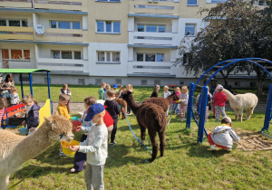 Zdjęcie 3 na 4