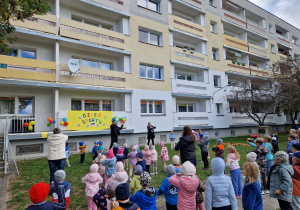 Zdjęcie 4 na 16