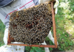 Zdjęcie 3 na 4